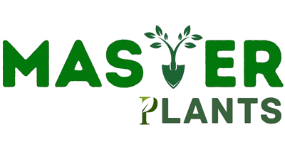 Master Plants – Online Plant Nursery & Garden Store